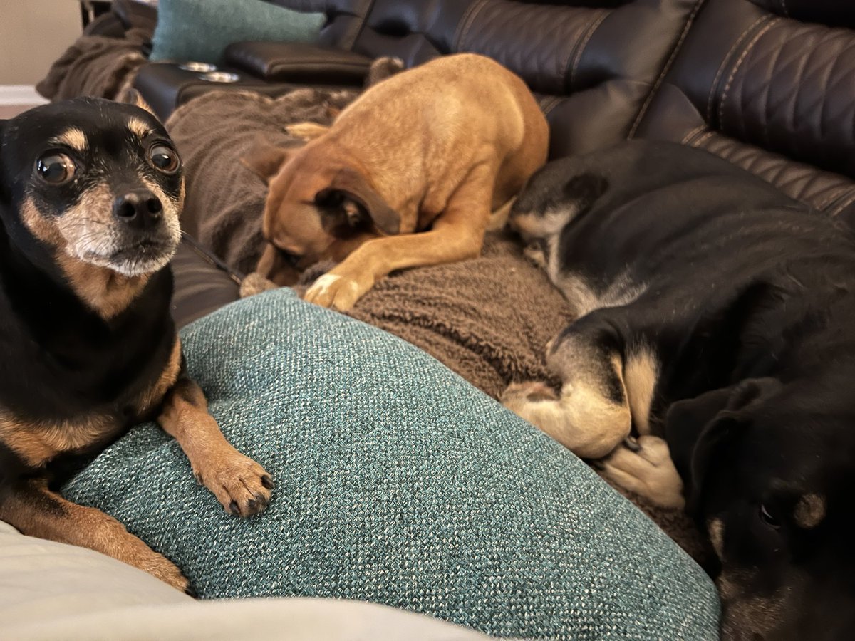 Bob Rowe tweet media