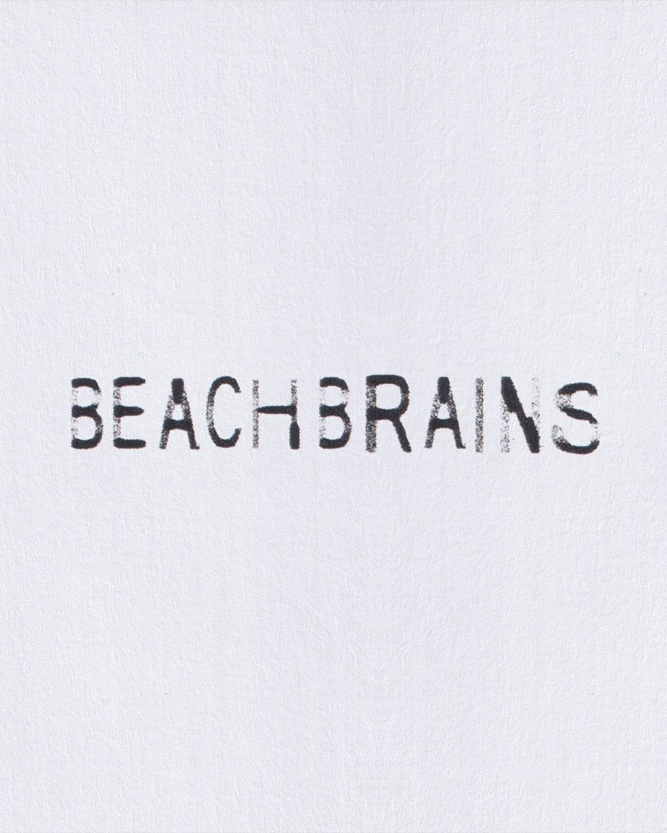 Beach Brains tweet media