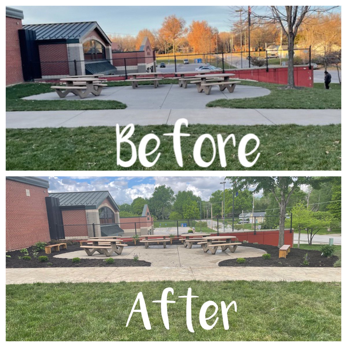 <a href="/DavidBrewer453/">David Brewer</a> has an improved outdoor space for both S’s and pollinators! #proudmom #eaglescout #troop366