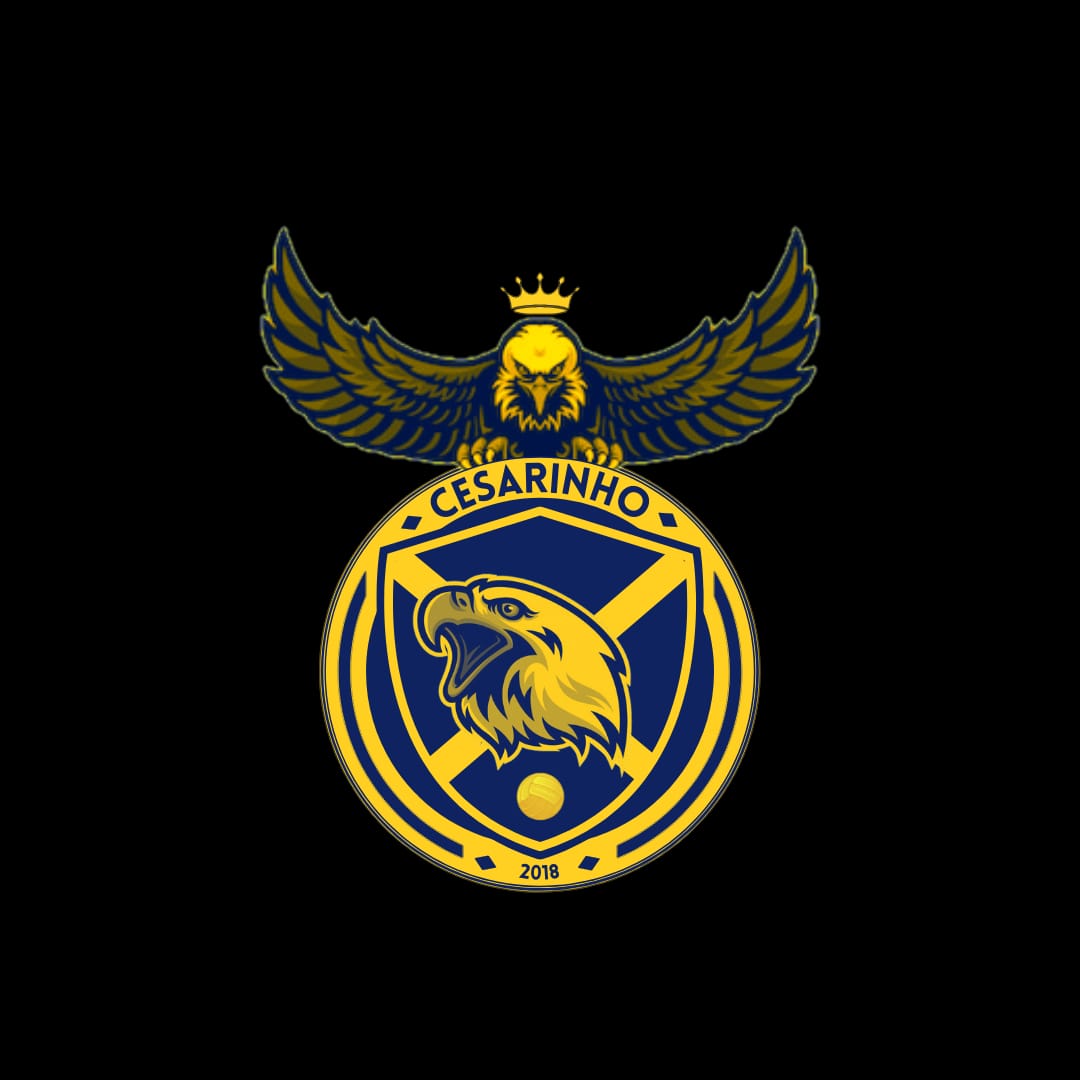 CesarinhoFc's tweet photo. Avante Cesarinho FC. 💙💛 https://t.co/KGlYv2UeNu