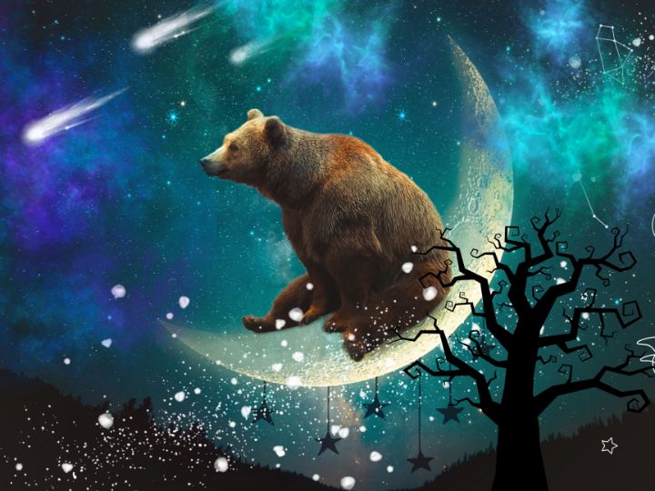 angelauraprints's tweet photo. New art for sale! "Moon Bear". Buy it at: https://t.co/xX7mwrRTXy https://t.co/cobqPc0WAE
