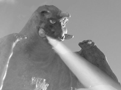 小梅あき M Xist 中略 遭遇は風景なしに起こる 遭遇とはどこまでも表層の体験なのだ 怪物は いっせいにせりあがってくる深さの運動としての存在を垂直に貫く 遭遇は舞台装置を欠いているのだ 蓮實重彦 表層批評宣言 より ちいさな巨大