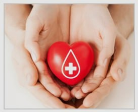 skylaryu558's tweet image. The Charlotte Gazette - Shincheonji&apos;s &quot;Life On&amp;amp;quot&quot; Blood Donation Campaign Resolves Korea Blood Crisis

bit.ly/3PfFZDx

 #Shincheonji #Resolves 
 #Resolves_Korea