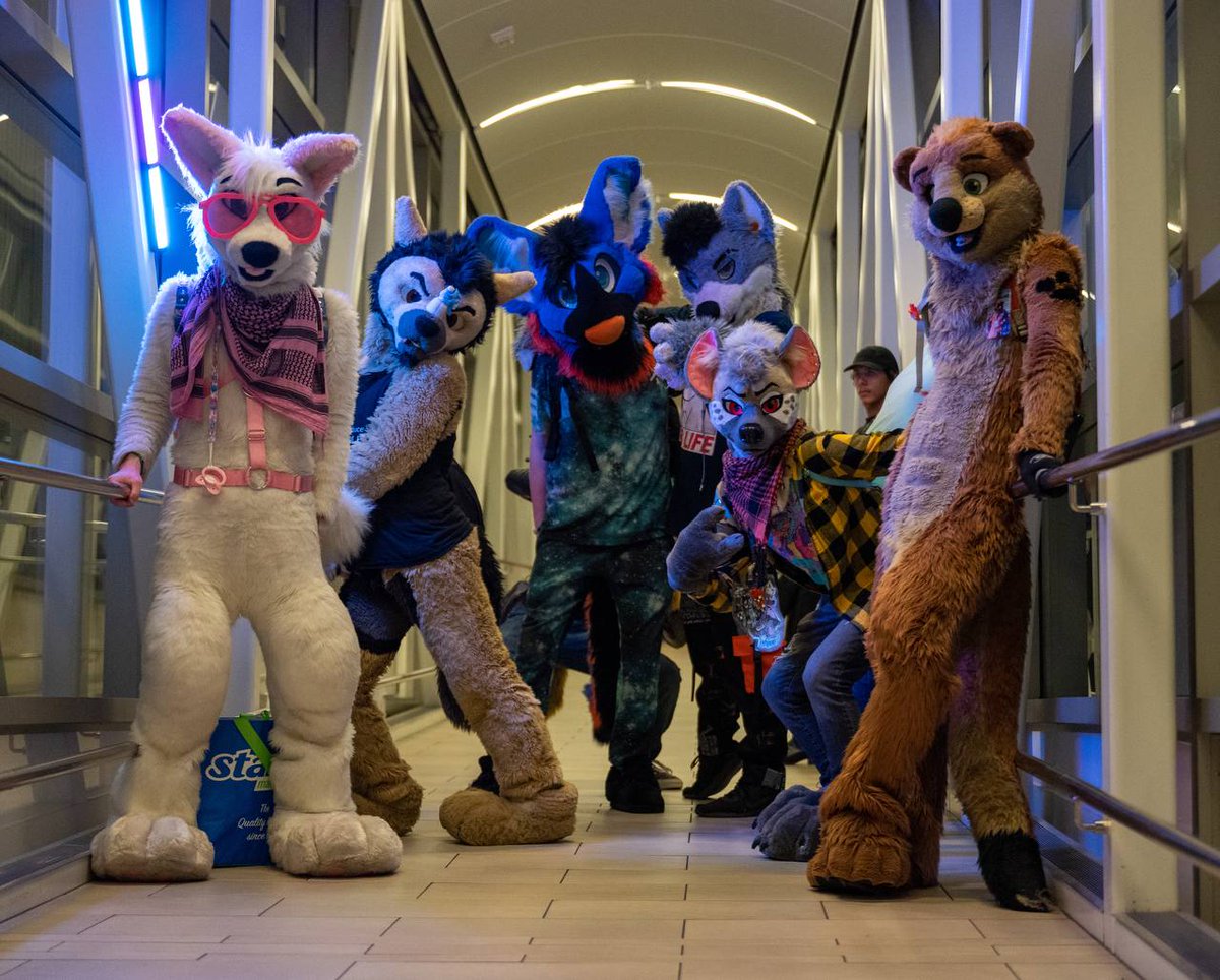 SocketDeer's tweet photo. @MarshmelloPup @RyffHyena @KanewuffAD @pawcum @zamoraderp https://t.co/elFVFJpKoo
