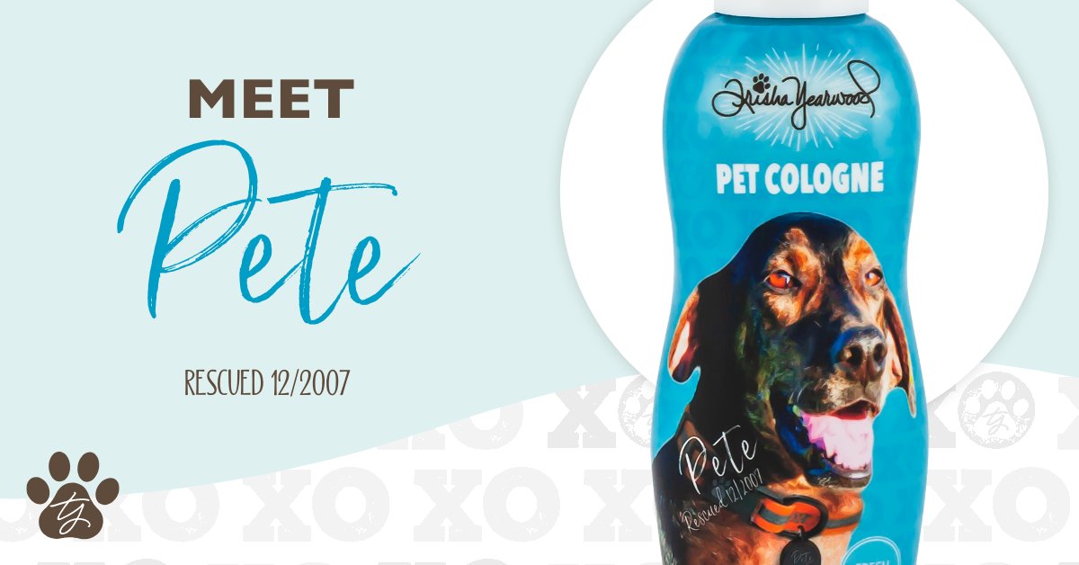 typetcollection's tweet photo. Pete was all love! He was certainly a ladies' pup. He showed up on a cold snowy day walking across Trisha and Garth's farm. His favorite thing to do was to sunbathe on the hills, soaking in the life of a dog who's been happily rescued.  #typetcollection #meetthedogs https://t.co/8gnCn8R15i