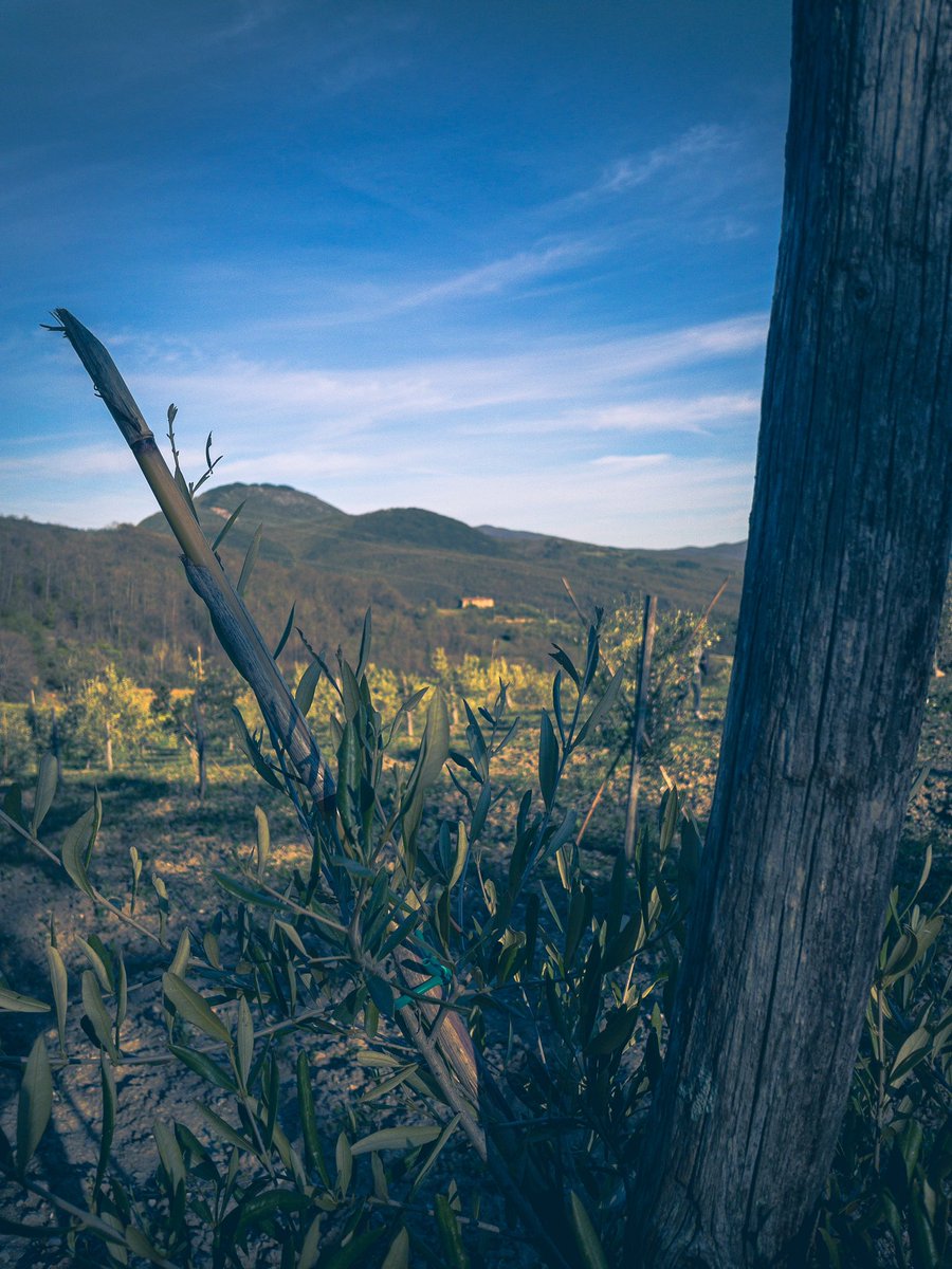 Tuscany