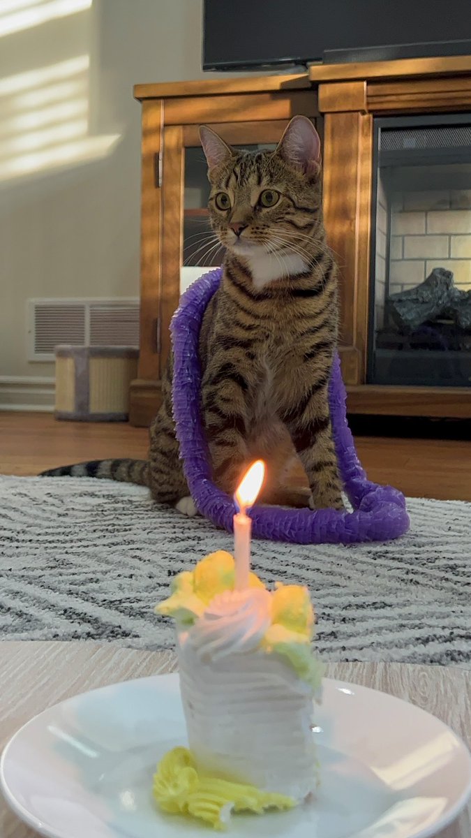 happy birthday coco 🥳🥳