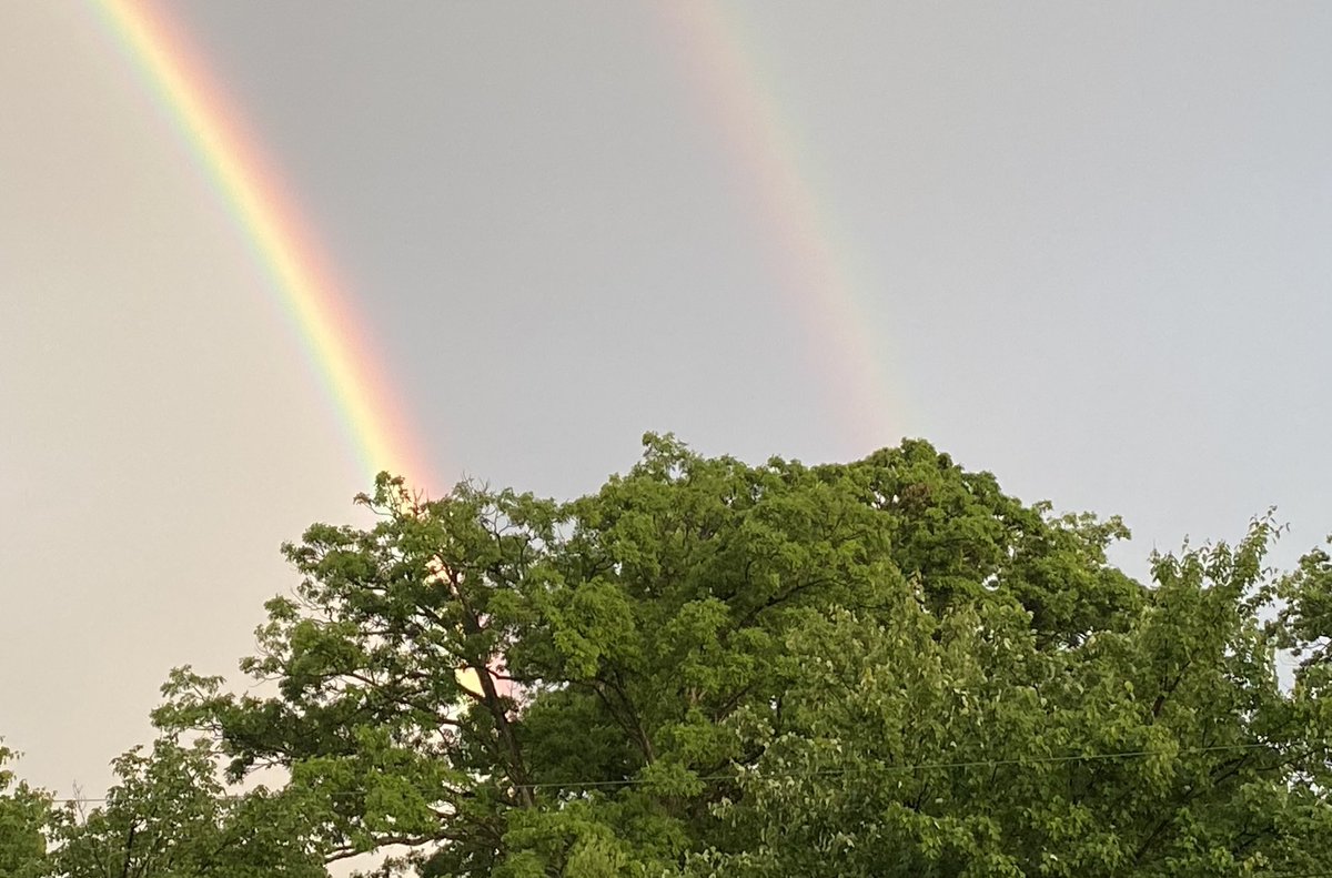 InsideThaDugout's tweet photo. 🌈🌈
🌳🌳 https://t.co/Dugy4Ip770