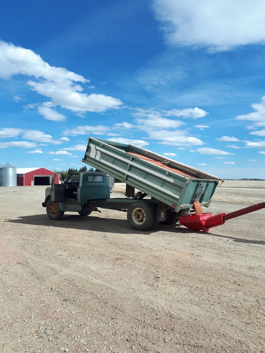 Every one needs a Green wiener on the farm..