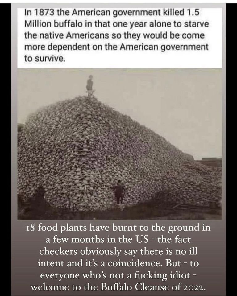 dee_latta's tweet photo. Let's talk about the bees that have been 'accidentally killed,' the chickens culled because of timely 'bird flu' & more recently the infant formula shortage. Soaring fuel costs, food shortages, car parts, etc, etc.
#NotACoincidence #Coincidence #DemonGates #GatesOfHell https://t.co/Uk1pfxwYW3