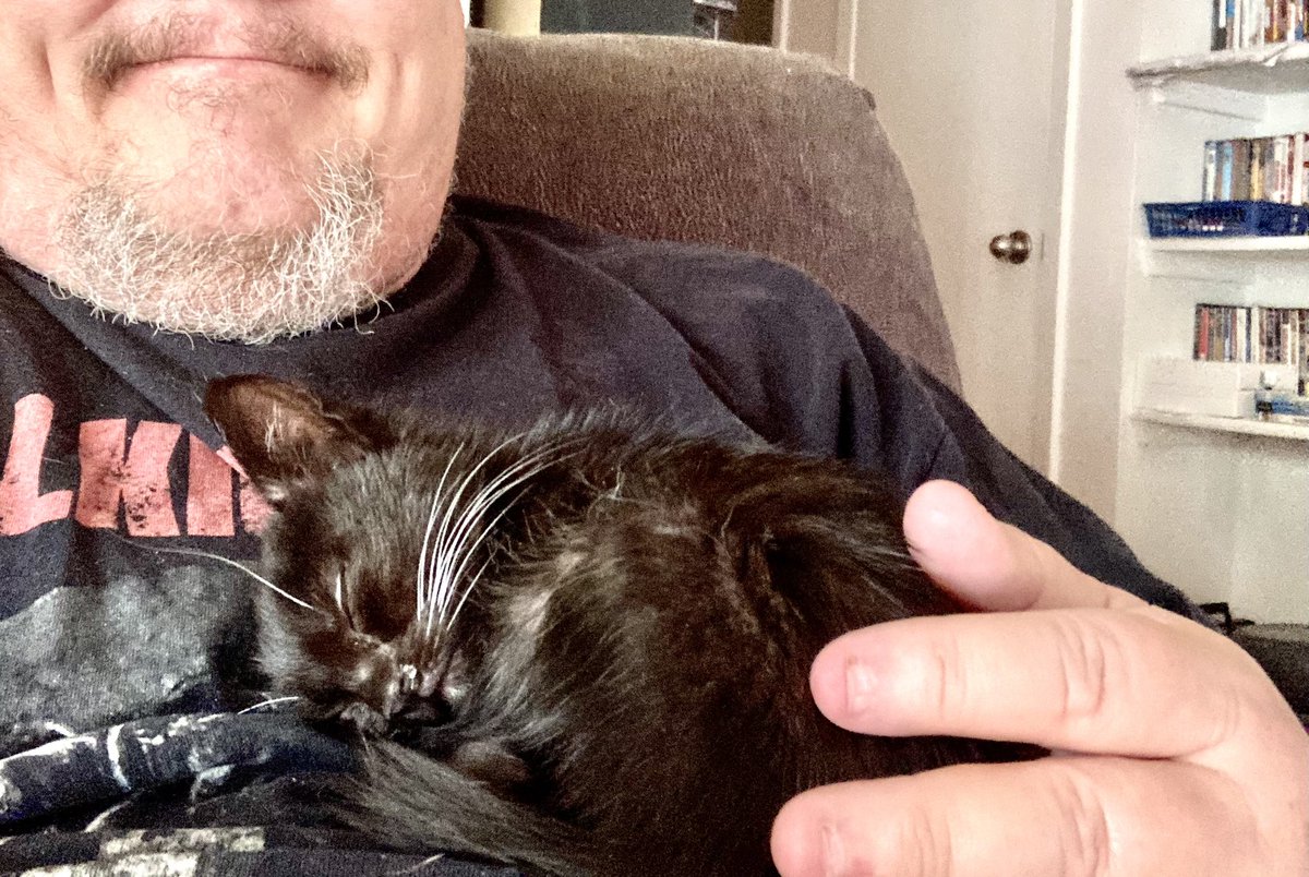 My poor little foster kitten Mazda is still struggling with a URI and she’s not eating enough because she can’t smell/taste even the stinkiest seafood.  Losing weight, not playing…just sleeping on in my chest.  Next step: respiratory therapy.  Positive thoughts, please!