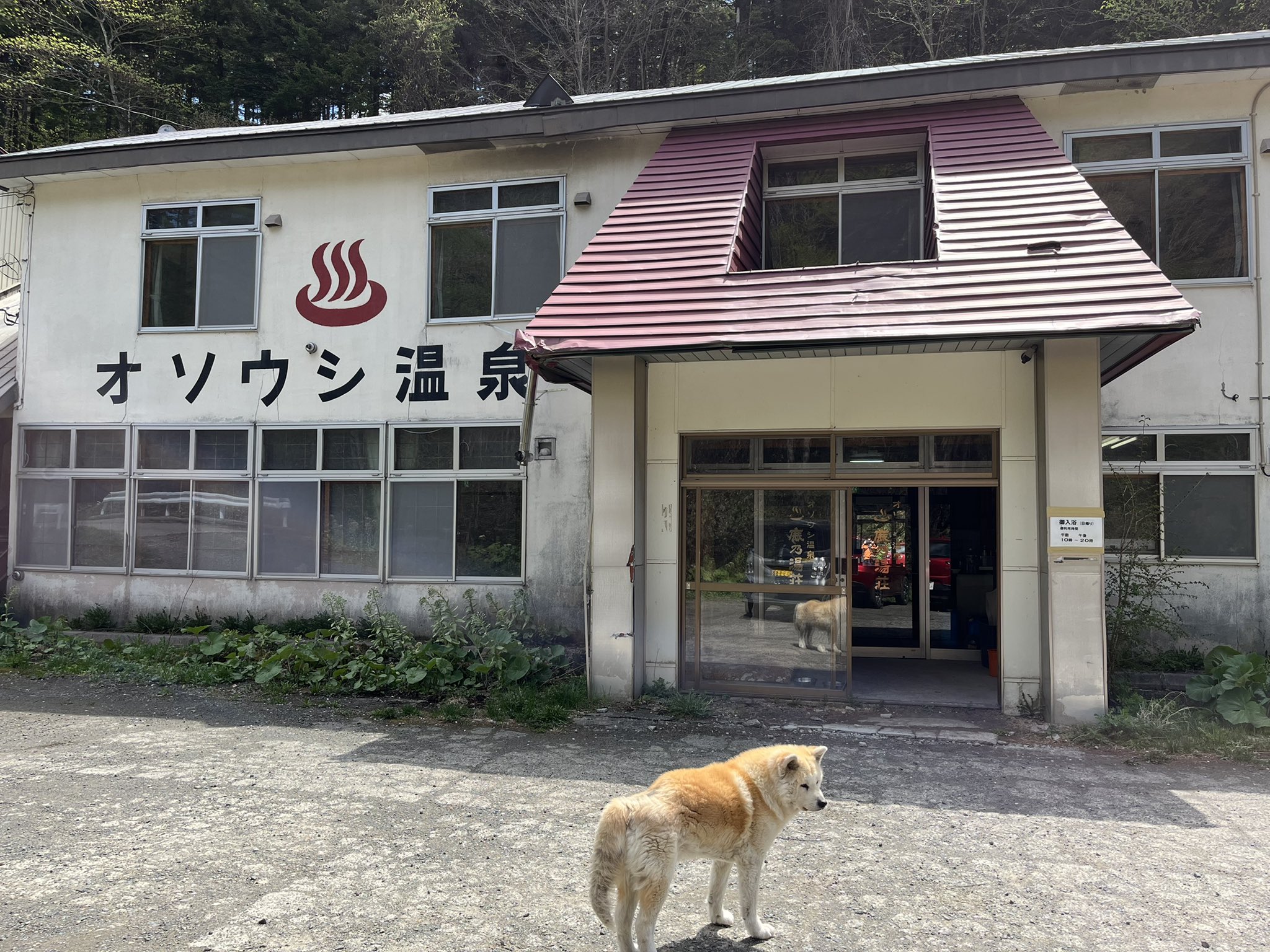 オソウシ温泉鹿乃湯荘 Twitter Search Twitter