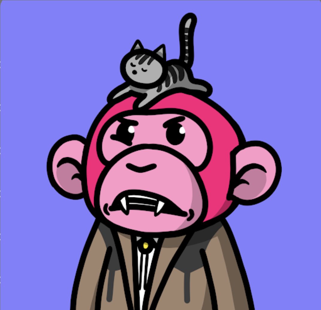 shred1 🦂 tweet media