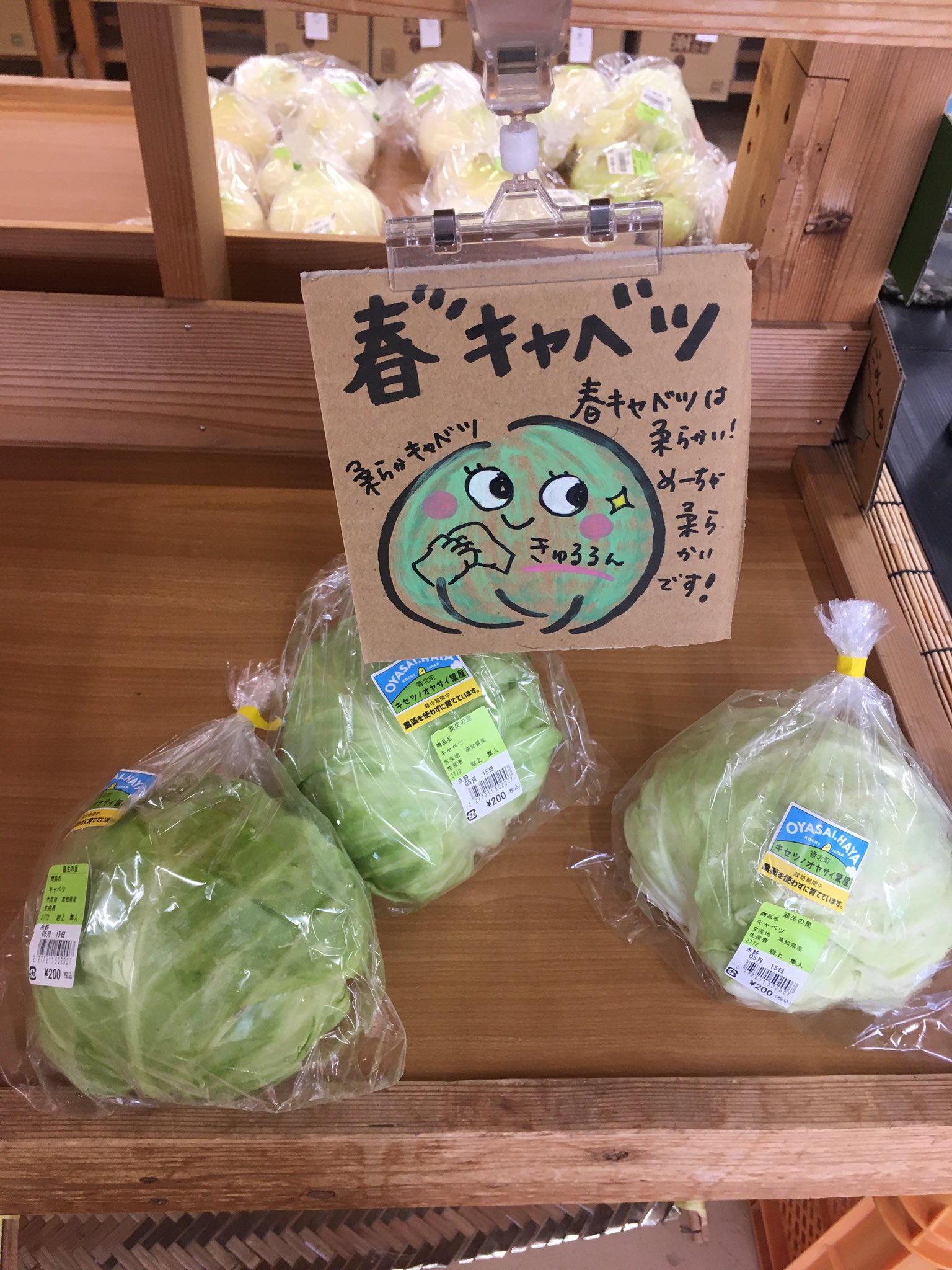 新キャベツ Twitter Search Twitter