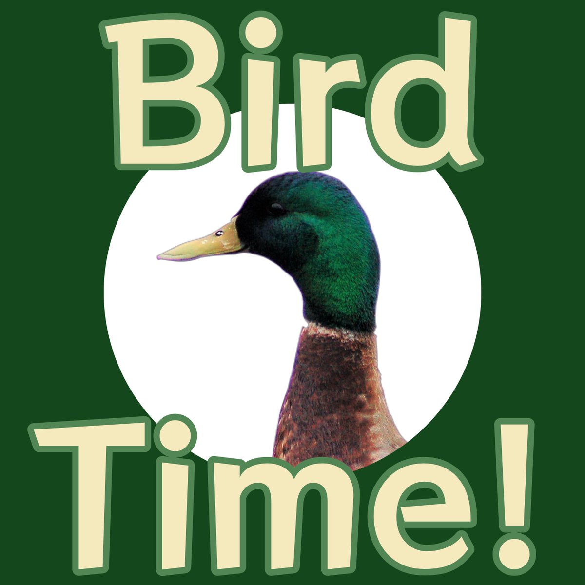 JohnDaleGrover's tweet photo. (2/3) Grover's Grotto will be the home for my creative projects, with a newsletter of bird photos (called Bird Time!) to start and perhaps another newsletter of creative writing to follow! https://t.co/xEVBLSSSuF