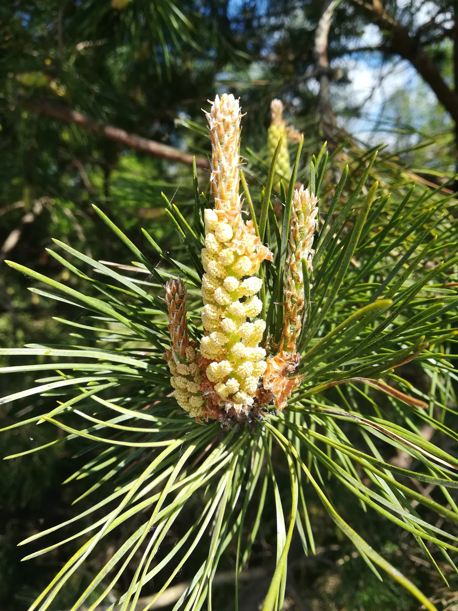 TheMessMess's tweet image. 