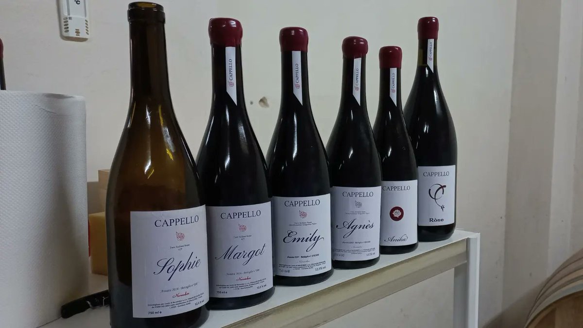 cappellovini's tweet photo. Iniziamo questa stagione estiva con le prime visite fegustative in cantina .

https://t.co/oKuCVj5O3k

#nerodavola 
#wine
#winetasting
#winelovers 
#winelover 
#sicilia
#sicilywine
#frappato https://t.co/968whwBPUh