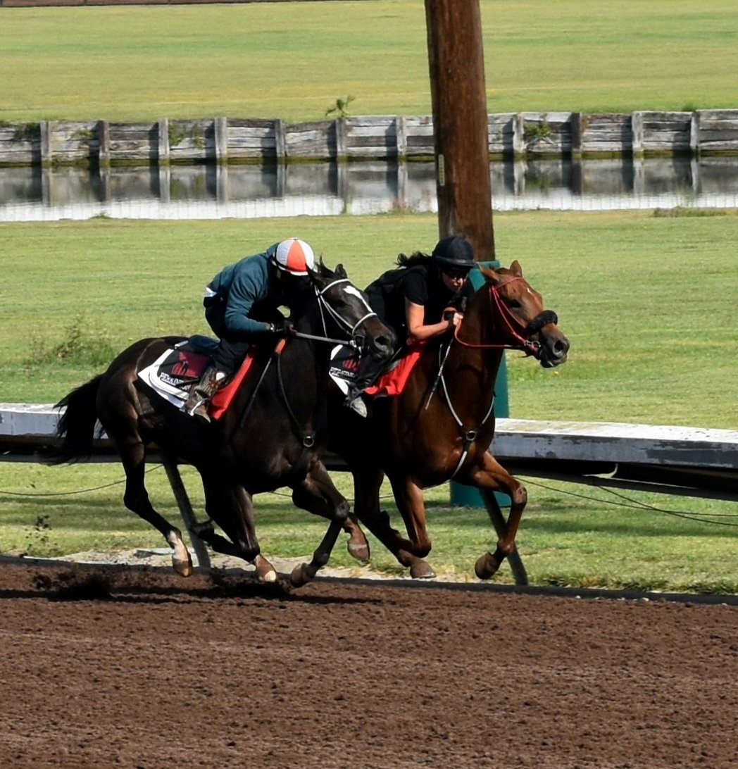 CcPerkinson's tweet photo. Never under estimate a #Perkinson still getting it done in the saddle today in prep for @CanterburyPark @racehorsereport @JMouse83 @CNGRacingStable #Ontherail #Perkinsonracingstables https://t.co/E9cbLlGQlJ