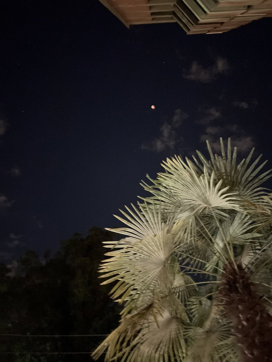 paulobastoss's tweet photo. #EclipseLunar https://t.co/VLvRJGg6uc