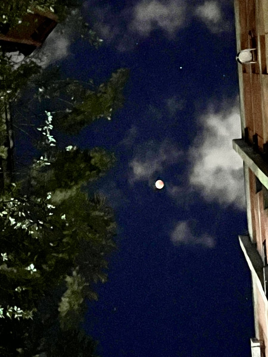 paulobastoss's tweet photo. #EclipseLunar https://t.co/VLvRJGg6uc