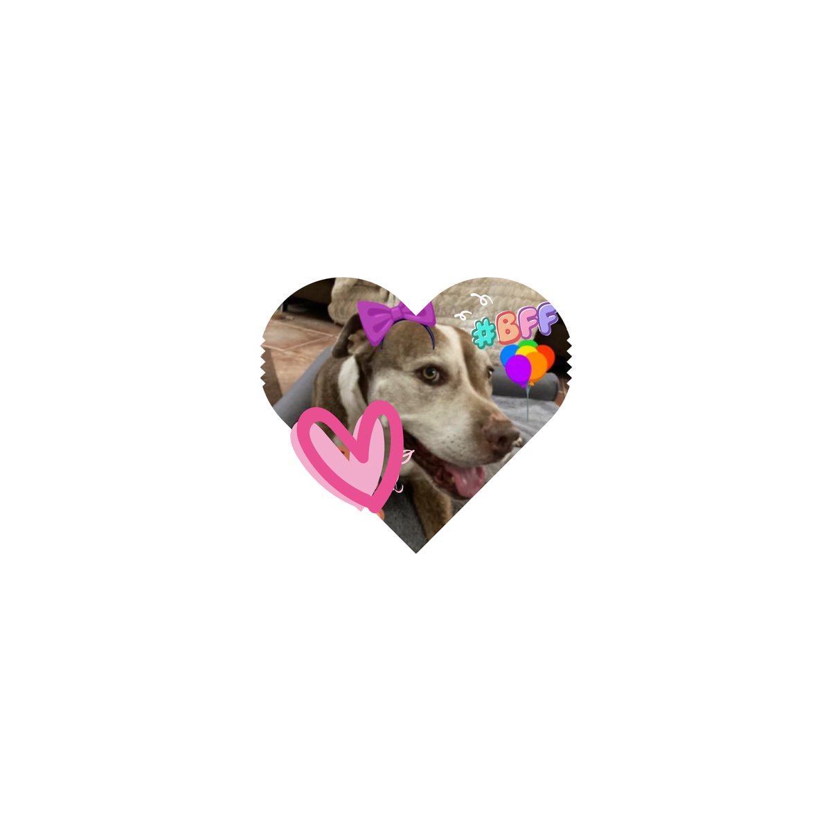 Staffieluv's tweet photo. My Besty is so adorable. #pibbleprincess @brittbarr24 https://t.co/M0Zo3PMrM3