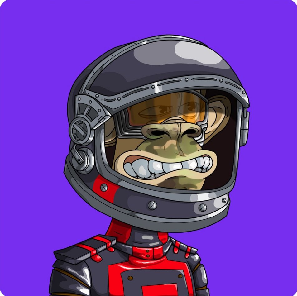 AshtonNFTs's tweet photo. 🚨ATTENTION🚨

BAAC Needs 5000 more members before mint Day‼️

To help:
~♥️ &amp;♻️
~Follow @BoredApeArmyC
~Leave a comment

#nftsales #nftGiveaway #nftCommunity #nftartist #nftGame #nftdrop #SolanaNFT #nftshill #nfts #nftpromotion #nftcollectors #Whitelist #giveaway #ad #nft #nftart https://t.co/oWX5bNH2L9