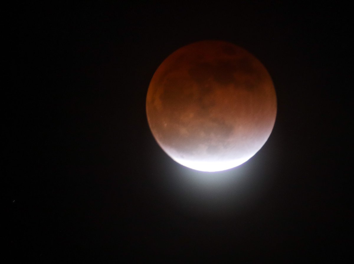 _tonyvalle's tweet photo. Finally got a chance to shoot a photo of the shadowed moon nicknamed “The Red Blood Moon” with my CANON Rebel T8i. I am so proud! https://t.co/tr0LEYq1FP