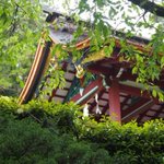 【筑波山江戸屋】のツイート画像