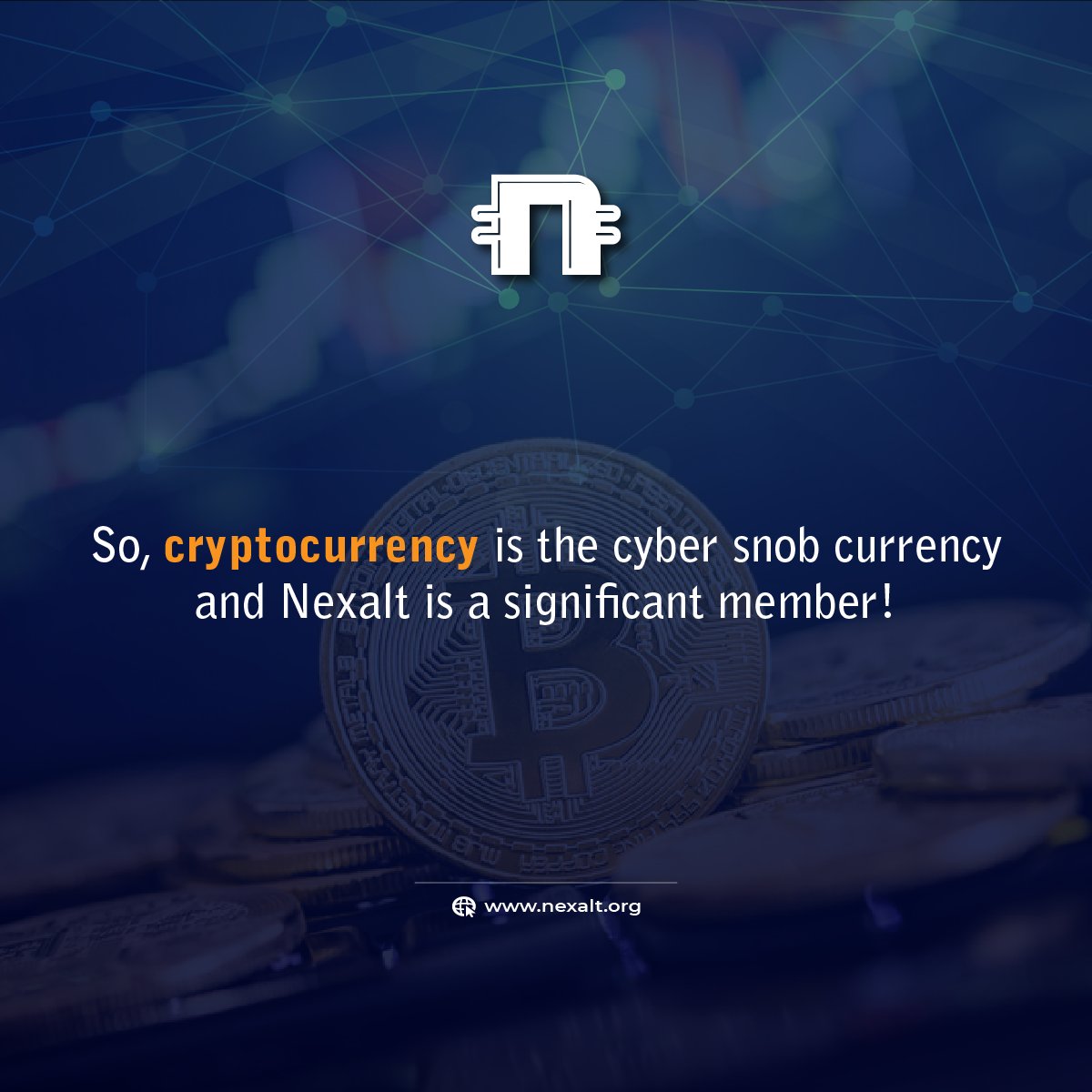 NexaltOfficial's tweet photo. Nexalt is a progressive part of the crypto marketplace and is a fantastic opportunity for those who wish to join cryptocurrency. It is the right time to buy Nexalt and secure your future share in the crypto market. So, don’t let this opportunity go and start investing now. https://t.co/apckBbebMs
