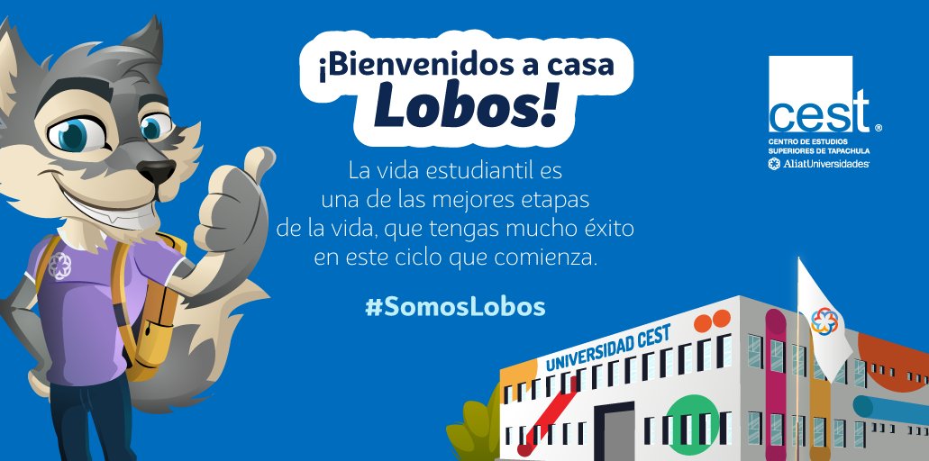 SoyCEST's tweet photo. Estamos muy contentos de tenerte de vuelta en nuestras aulas. ¿Estás listo para seguir alcanzando tus metas profesionales? 💪😎🎓
#BackToSchool #Clases2022 #CEST #LobosCEST https://t.co/tx6fCL5Zib