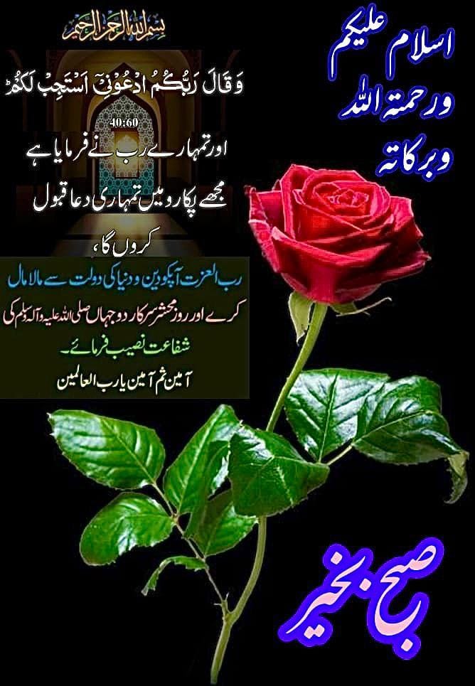 helowe23's tweet photo. https://t.co/UqKiYPko82