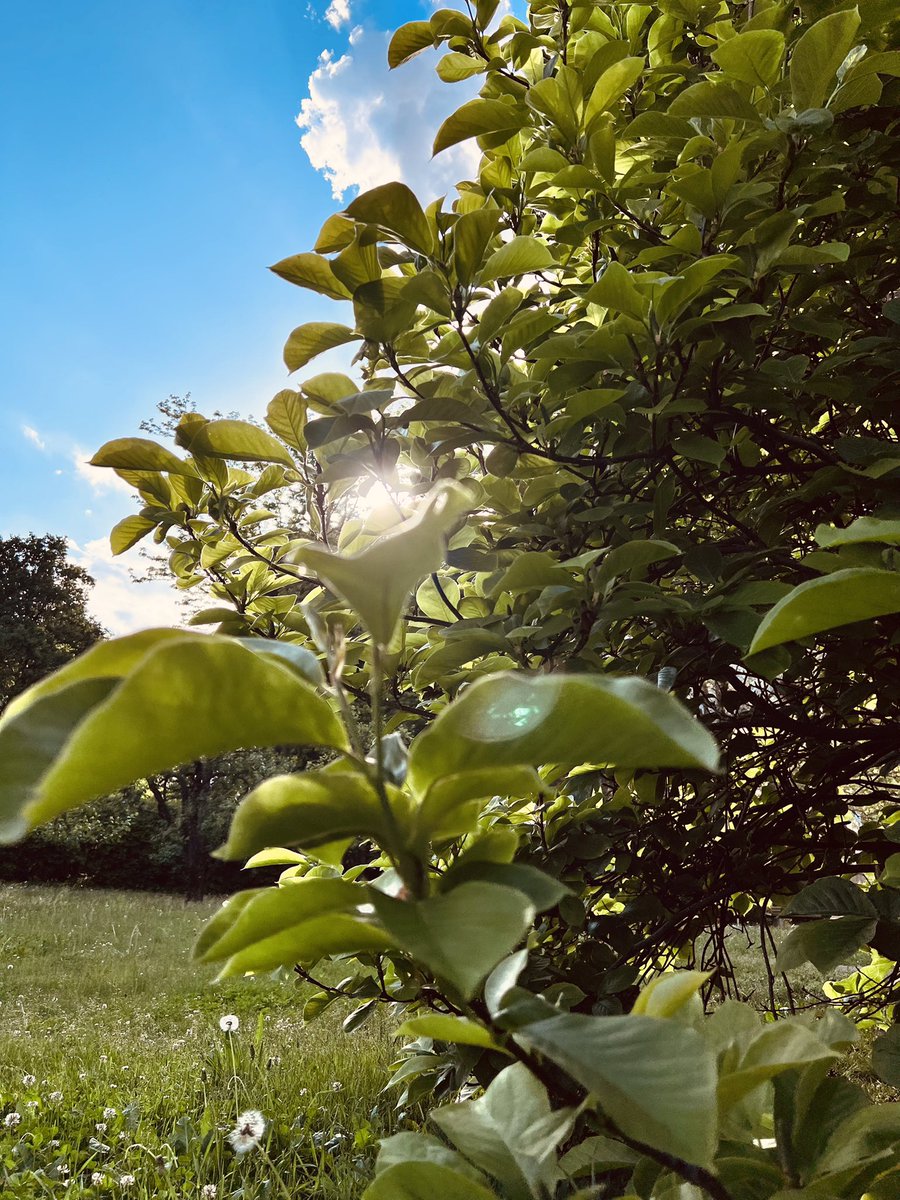 PrinzessinK's tweet photo. Wer den Tag mit einem Lächeln beginnt, hat ihn bereits gewonnen! Cicero 

In diesem Sinne wünsche ich Euch allen einen wundervollen Wochenstart mit einem Lächeln im Gesicht! 😃 

#leben #freude #Liebe #lebensfreude #love #happy #lebensweisheiten https://t.co/6RbvWX7Qc0
