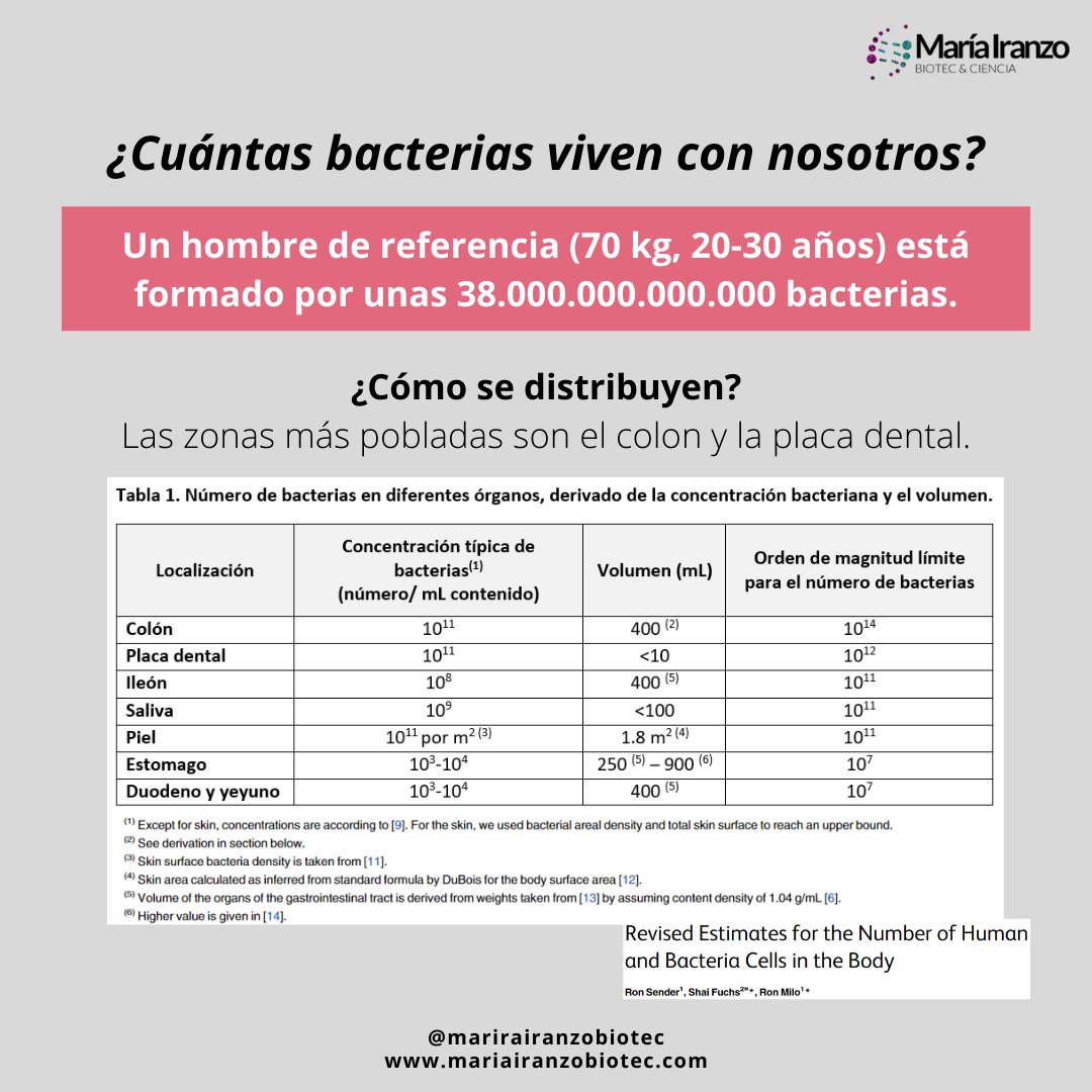 MariaIranzoBio's tweet photo. ¿Cuántas #bacterias conviven con nosotros? La cifra aproximada, en un adulto de referencia, es de 38.000.000.000.000 bacterias.

¿Cómo se distribuyen por el organismo? Los órganos más poblados  son… ¡El colon y la placa dental! #Microbiota #FelizLunes

https://t.co/iqwmeYL7Q7 https://t.co/lyRE0vm1aM