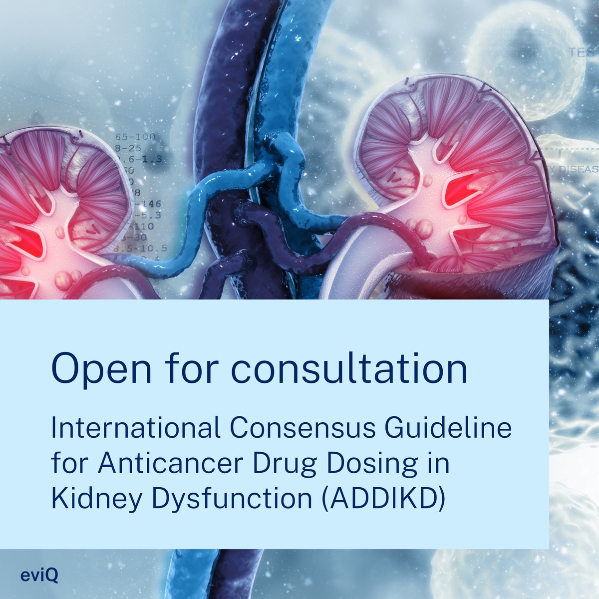 cancerNSW's tweet photo. Have your say – the draft International Consensus Guideline for Anticancer Drug Dosing in Kidney Dysfunction #ADDIKD is now open for consultation: https://t.co/XFbjNYRpkn https://t.co/1ElzDiLYGw
