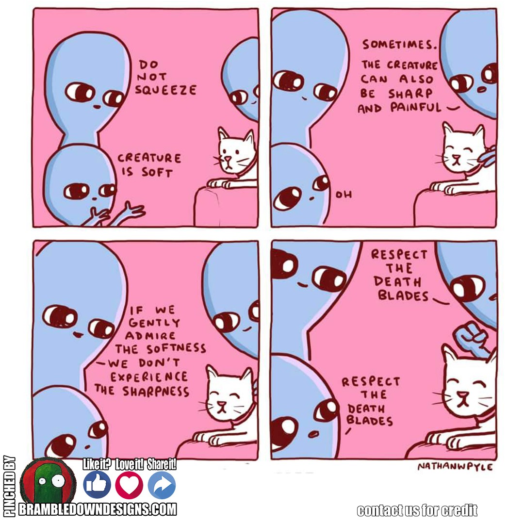 brambledowndes1's tweet photo. Soft Kitty!

If you don't follow this artist, you should
.
.
#memes #meme #funny #funnymemes #BrambleMemes #NathanPyle https://t.co/OnerGEmh5g