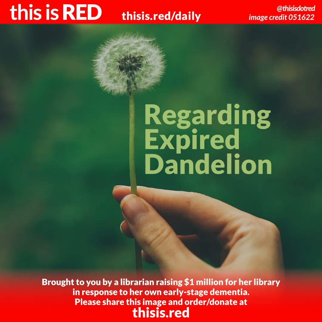thisisdotred's tweet photo. https://t.co/k8QrVkwZt4