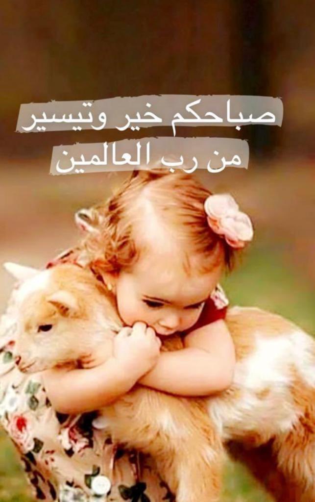 N_a2d4i6a's tweet photo. اصبحنا واصبح الملك لله🕊
#صباح_الخير يا اهل الخير 🌼 https://t.co/0aF9Yv22Xx