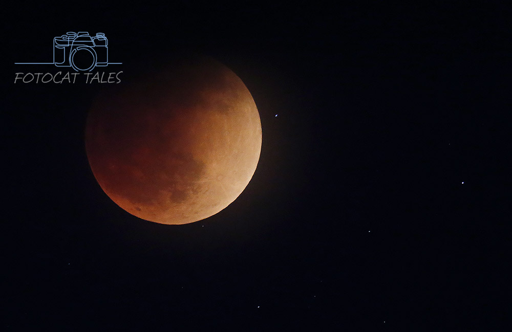 FotoCatTales's tweet photo. We headed up to Monitor Pass for the Super Flower Blood Moon lunar eclipse. The clouds almost skunked me on the eclipse but they sure made for an amazing sunset. Two cameras pointed in opposite directions for a bit tonight! https://t.co/BMw4ih0ZsL