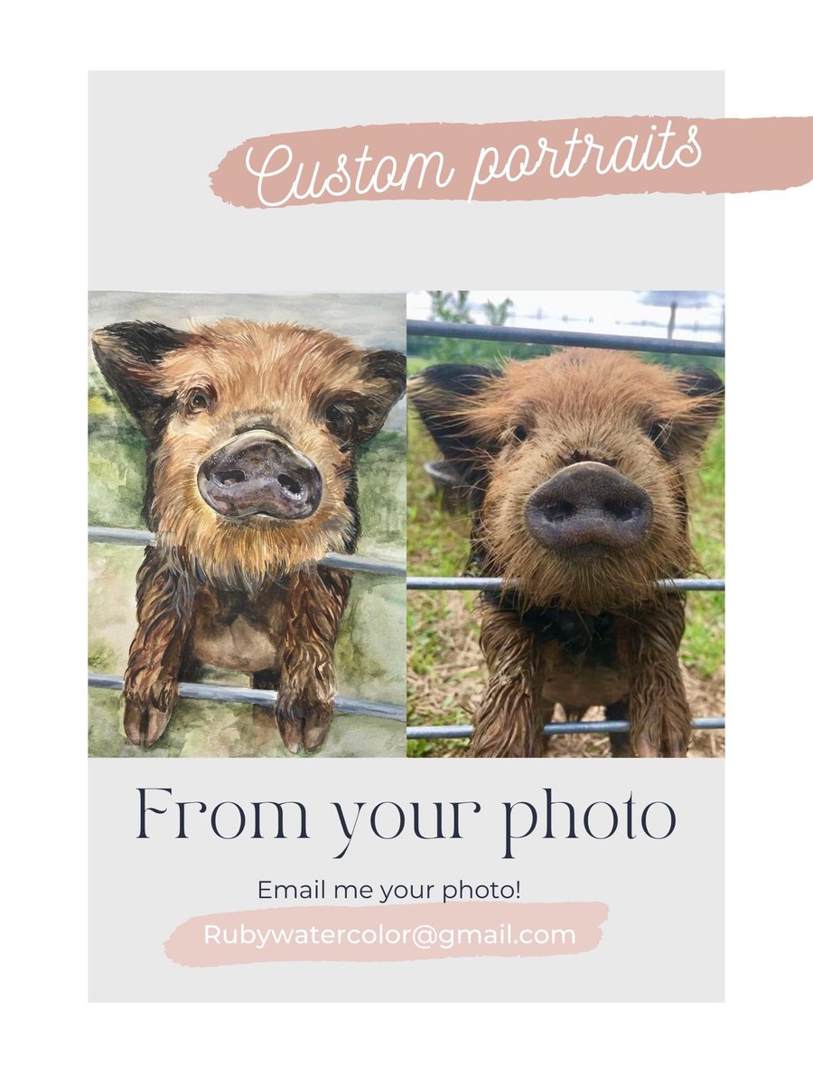 RubyWatercolor's tweet photo. Excited to share this item from my #etsy shop: Original Art Hand painted Watercolor https://t.co/BdNd22JBlF

#pig #piggy #pigs #pigsofinstagram #minipig #animals #love #cute #piglet #piglife #pigstagram #piggies #oink #pork #guineapig #piglets #minipigs #piglove #potbelly https://t.co/ihowMoRaQE