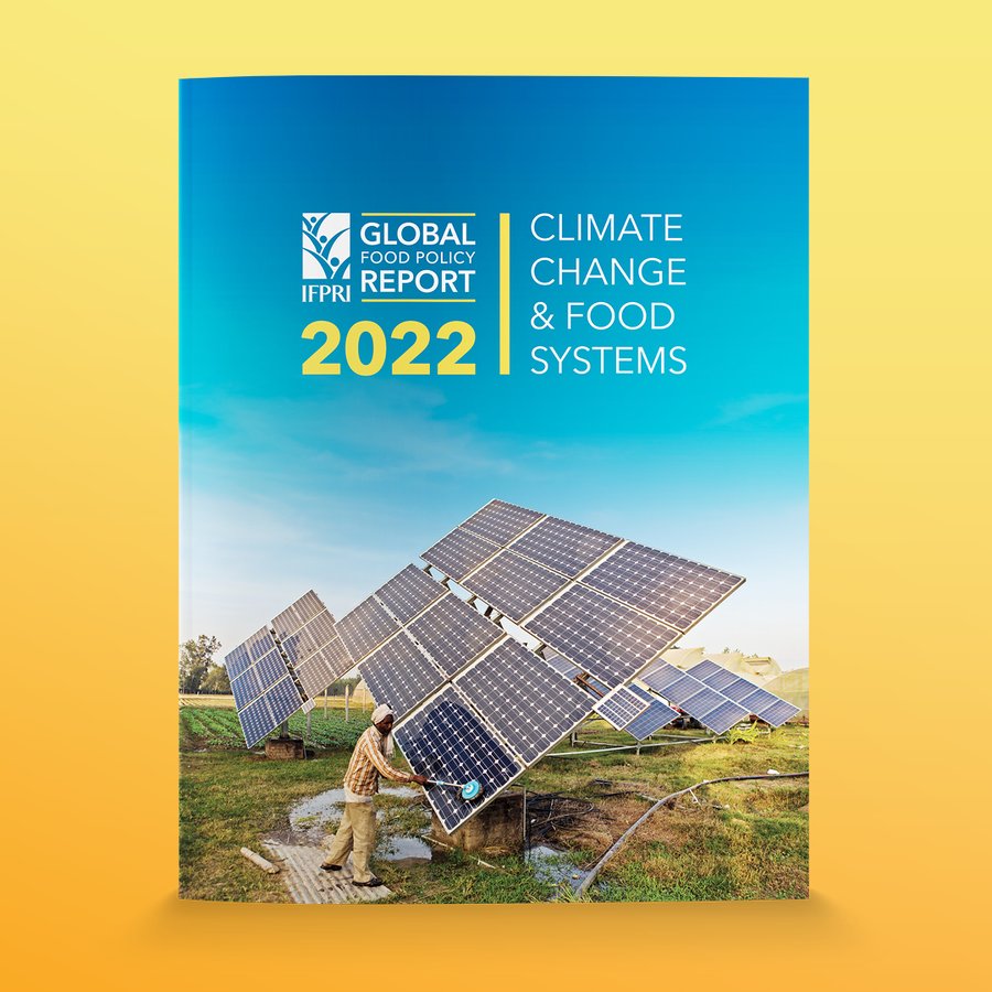 CIFOR_ICRAF's tweet photo. To ensure food security &amp; well-being for all in the years to come, current efforts must be stepped up.

🆕 #GFPR2022 by @IFPRI showcases opportunities for achieving sustainable food systems, promoting healthy diets, and building resilience.

Full report:➡️ https://t.co/t9bmSGtBvU https://t.co/eo4PUErDc8
