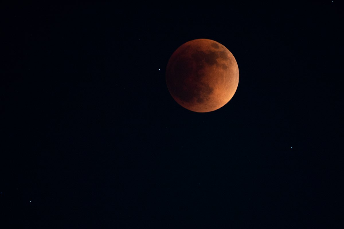 cosmic_cate's tweet photo. Just showing off my eclipse photos! Taken on a canon rebel t7 with a 300mm lens 👁 
#BloodMoon #Houston #SuperFlowerBloodMoon https://t.co/TfYmx5tr8N