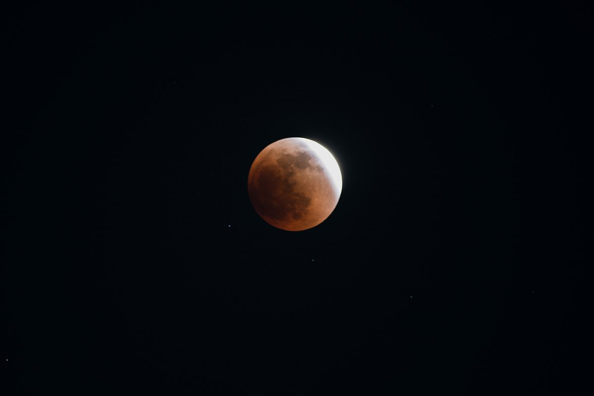 cosmic_cate's tweet photo. Just showing off my eclipse photos! Taken on a canon rebel t7 with a 300mm lens 👁 
#BloodMoon #Houston #SuperFlowerBloodMoon https://t.co/TfYmx5tr8N