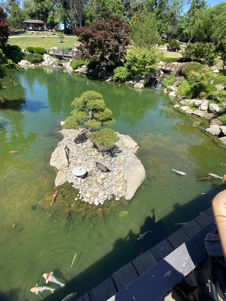 Vrecor_'s tweet photo. @LonelyPopNFT #LonelyPopUnplugged 
This weekend i took my girlfriend out to a nice dinner and to visit her favorite Japanese garden here in our town! Had a blast 💥 https://t.co/j64l6Ym1JA