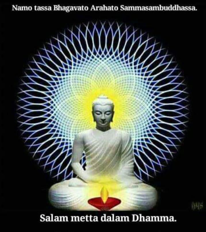 Hari ini harus menjadi hari yang mudah, dan yang harus kamu lakukan adalah menerima apa pun yang diharapkan darimu