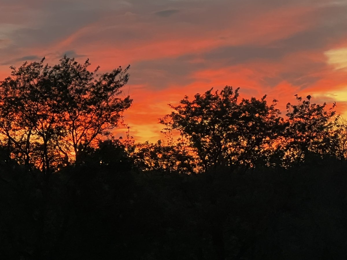 Michele Markey tweet media