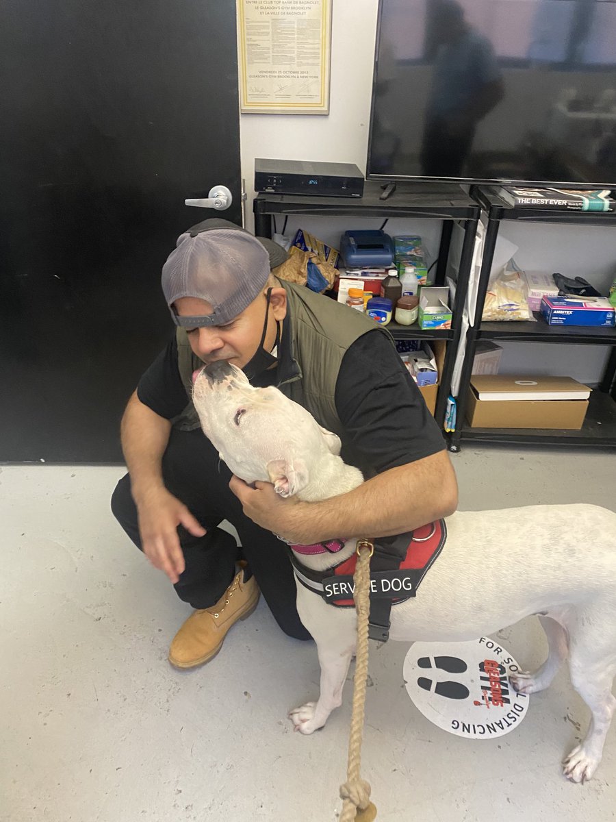 juanjeremy100's tweet photo. Good ol #cornerman meets good ol #cornerdog at ⁦@GleasonsGym⁩ #gleasonsgym https://t.co/4760oGNzOF
