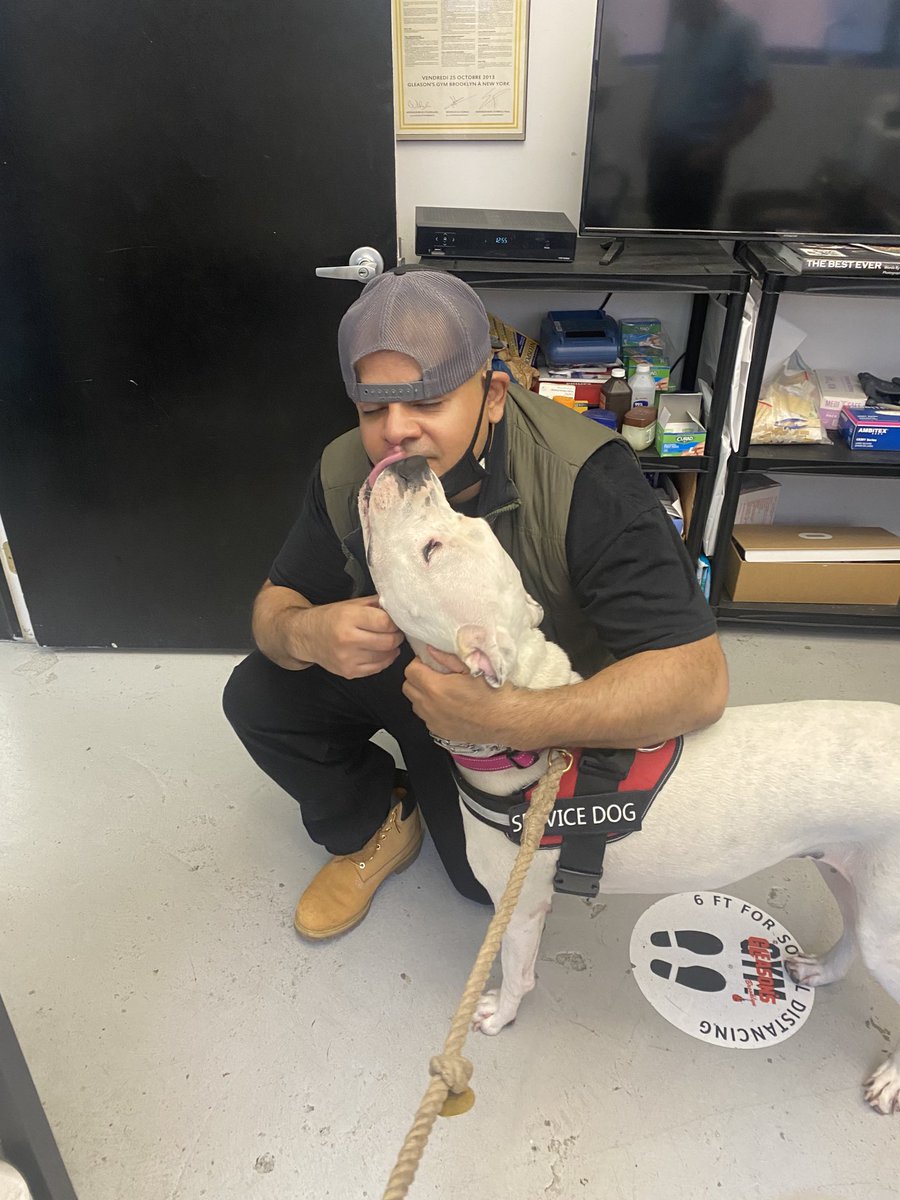 juanjeremy100's tweet photo. Good ol #cornerman meets good ol #cornerdog at ⁦@GleasonsGym⁩ #gleasonsgym https://t.co/4760oGNzOF