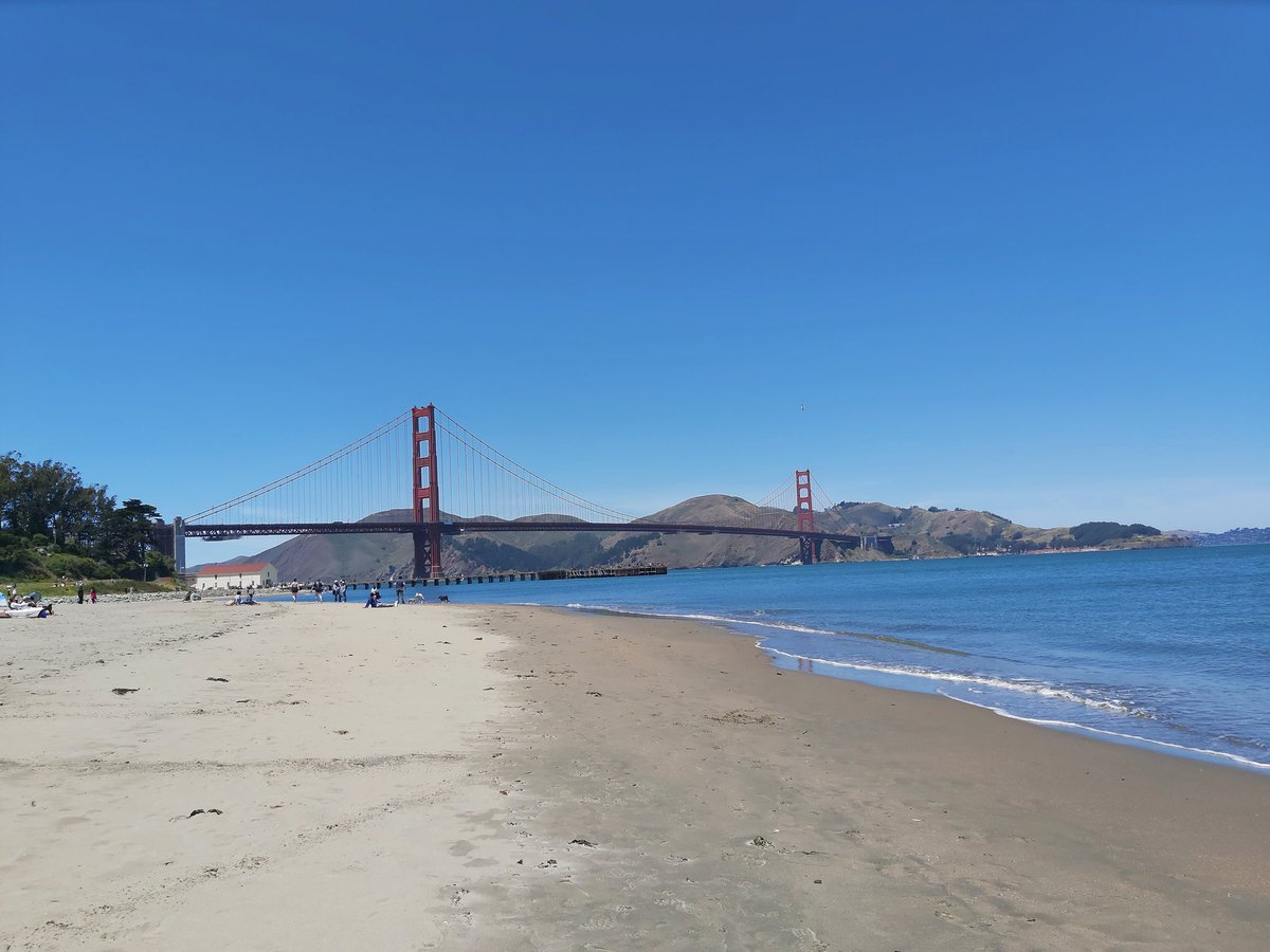 Mel 🐙🍯 tweet media