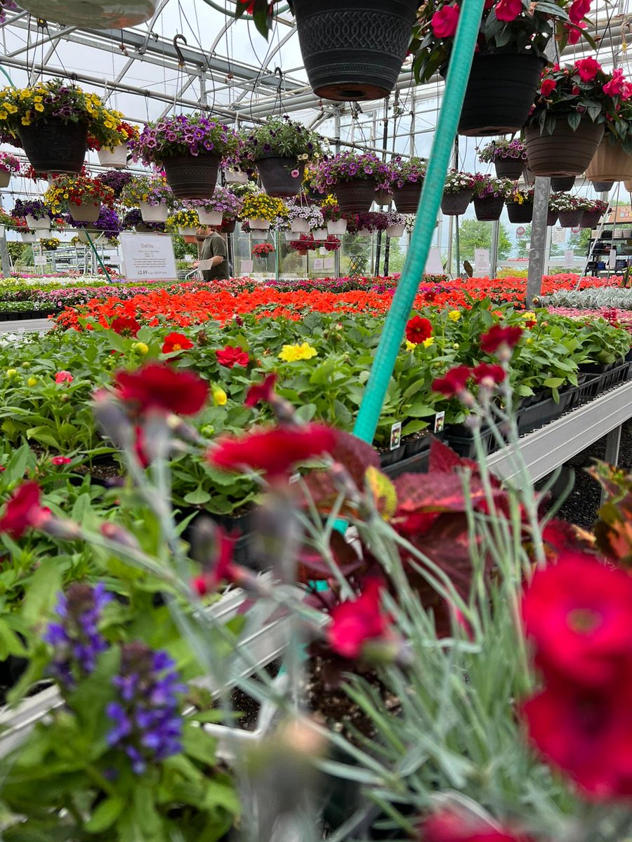 ندى الصباح الي ينعش القلب والروح
يقطر على روحا يعيدها من …..سبتها 
متجمل بأخلاق العرب بالنطق والبوح
لا مرت قلوب العدا لانت و اك .سبتها