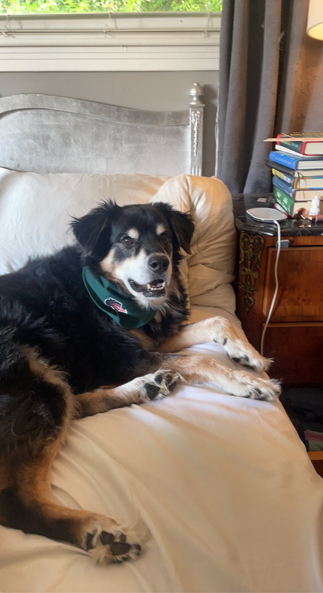 Morgan Zipperly, MD, PhD tweet media